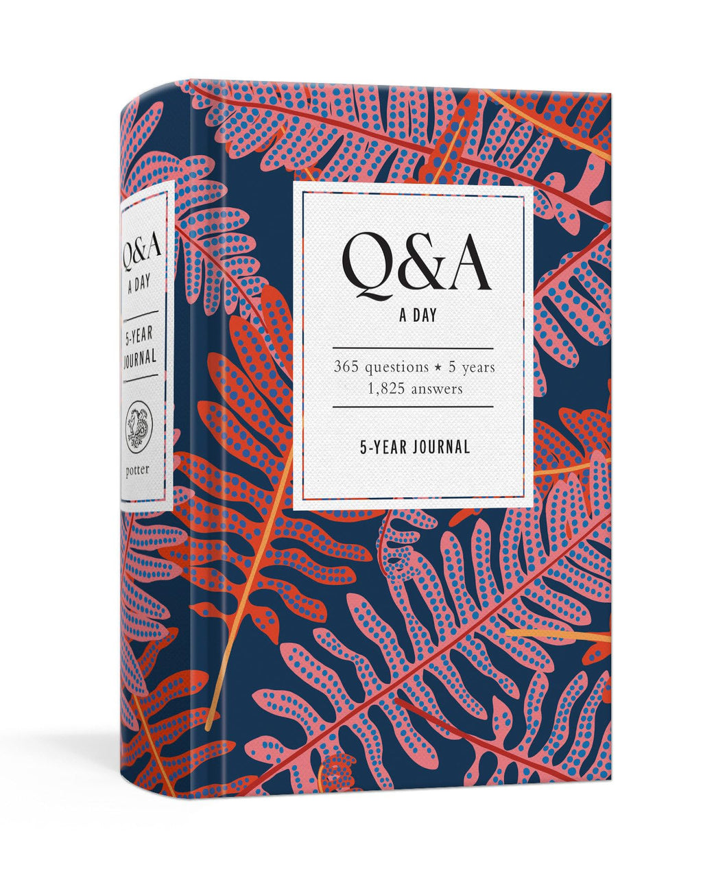 Q&A A DAY (ROSA)