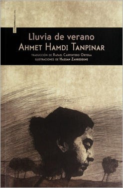 LLUVIA DE VERANO