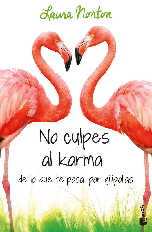 No culpes al karma de lo que te pasa por gilipolla