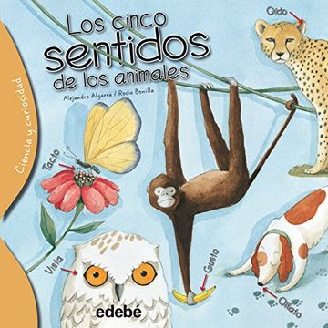CINCO SENTIDOS DE LOS ANIMALES, LOS F BOOKLAND EDEBE
